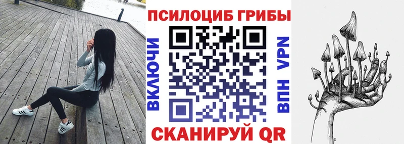 Галлюциногенные грибы Cubensis  как найти закладки  Чапаевск 